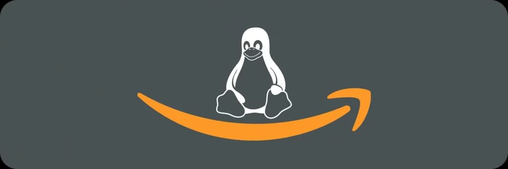 Illustrative image for post Cost Optimization for Amazon Linux 2